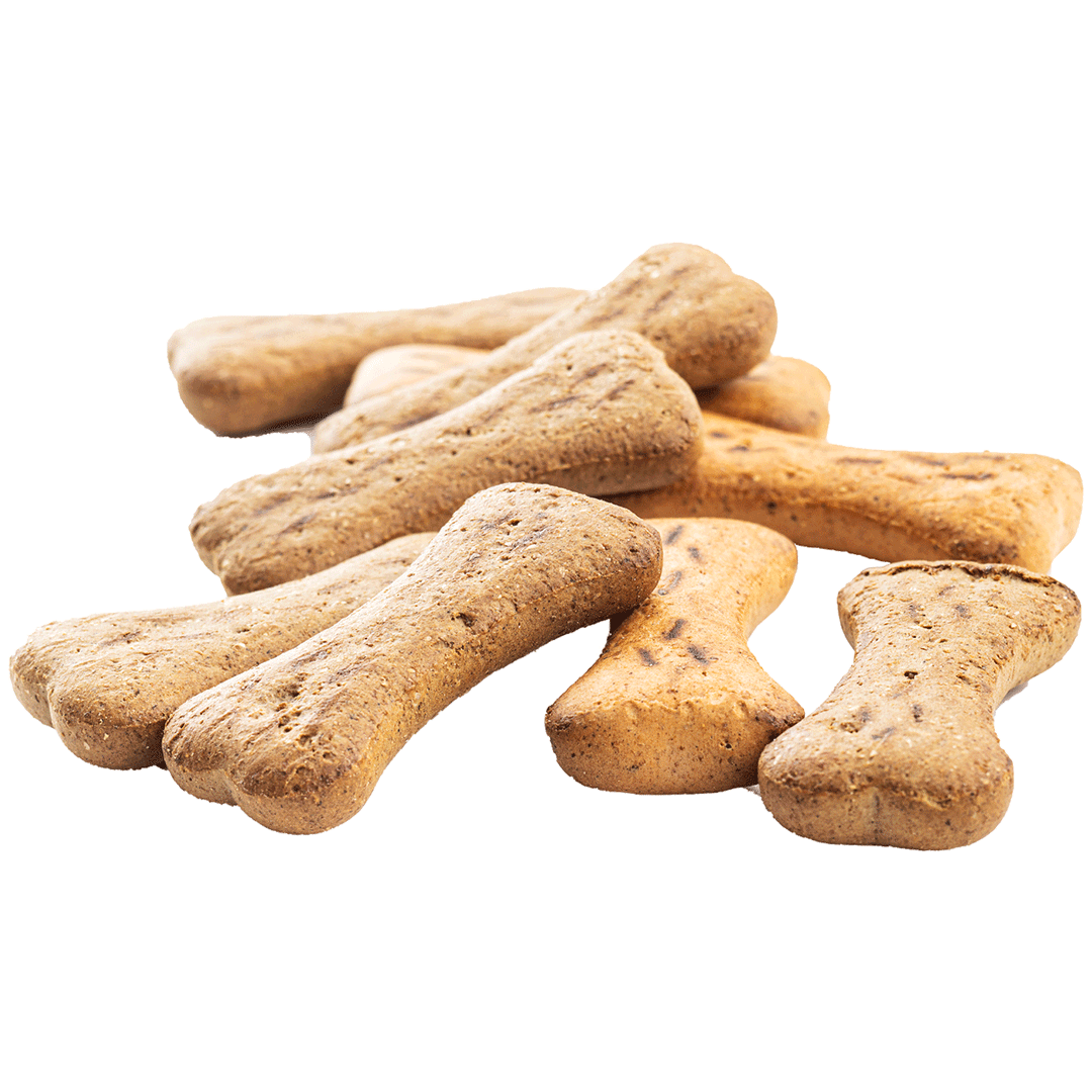 Dog food